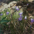 Baker Gulch Trail